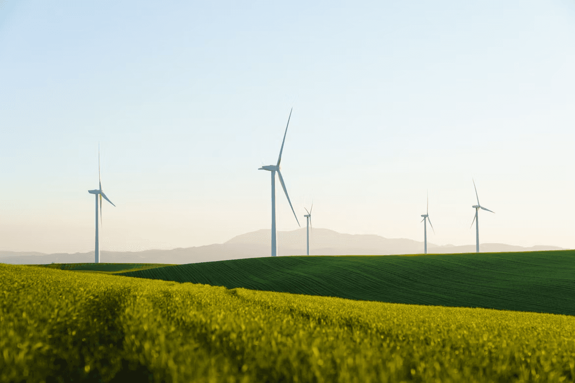 Sustainability
